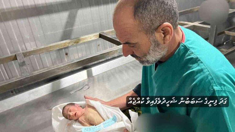 ގަދަ ފިނީގައި ޣައްޒާގެ ތުއްތުކުދިން ޝަހީދުވަނީ